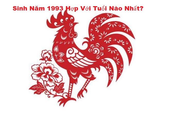sinh-nam-1993-hop-voi-tuoi-nao